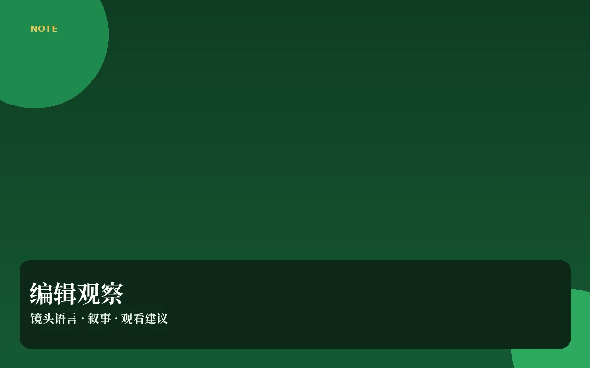 看片札记编辑观察